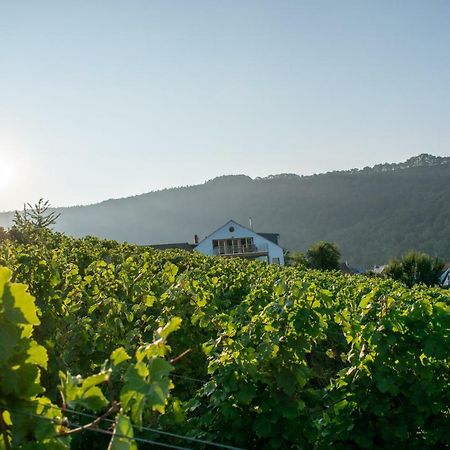Weingut Johanneshof Minheim エクステリア 写真