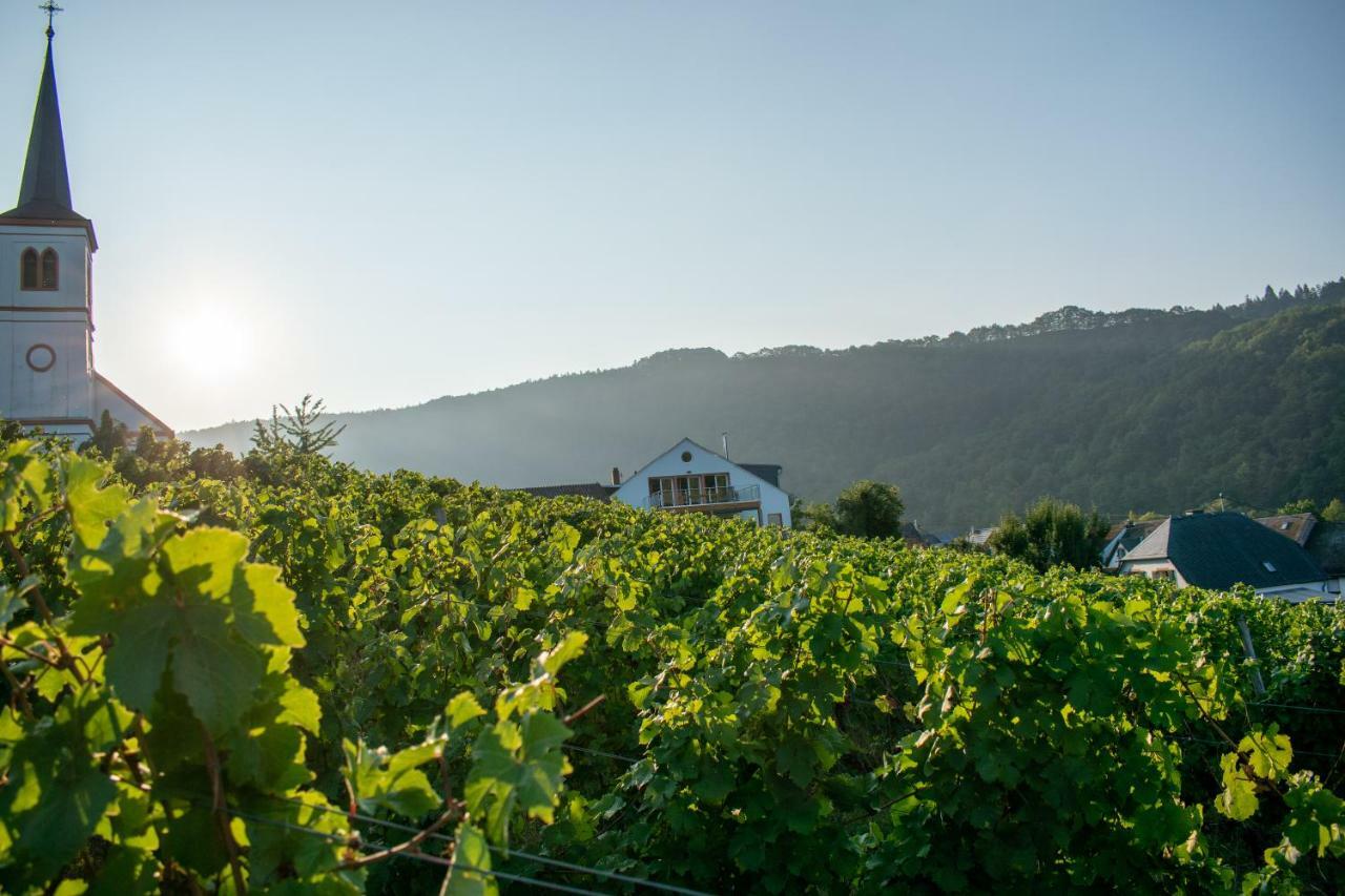 Weingut Johanneshof Minheim エクステリア 写真